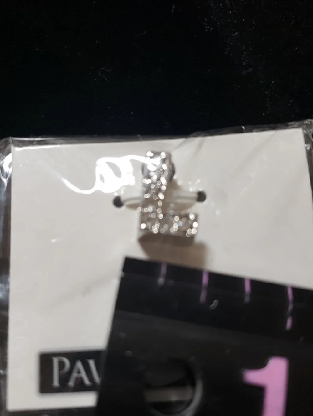 N/A silver pet